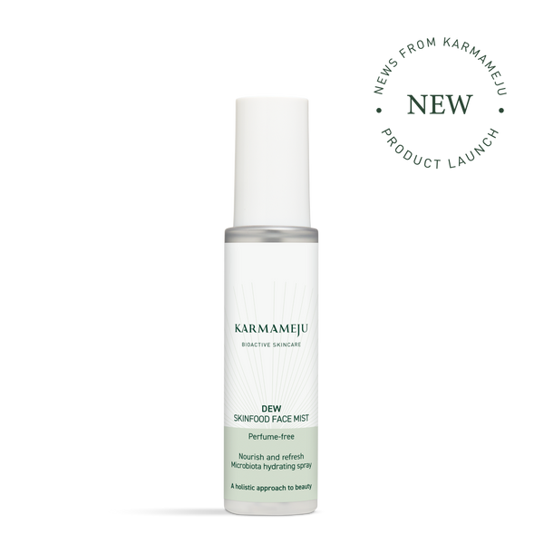 DEW skinfood face mist