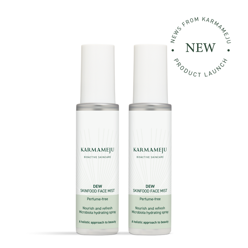 DEW skinfood face mist x2