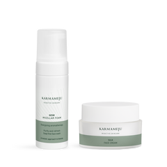 Combination/oily skin - starter kit